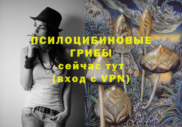 2c-b Усинск