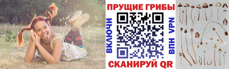 Галлюциногенные грибы MAGIC MUSHROOMS  Купить  Приволжск 